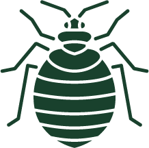 Bed bug cutout
