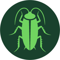 Cockroach Icon