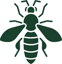hornet cutout