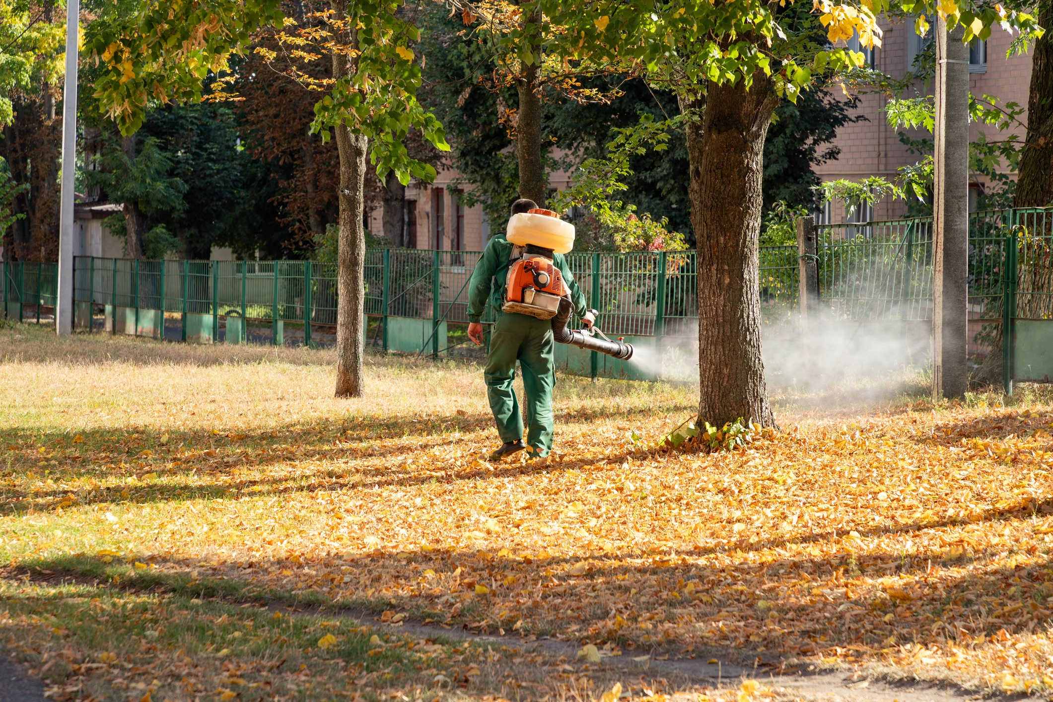 Spraying the park area