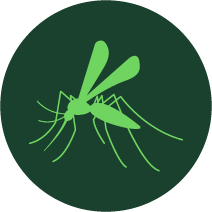 Mosquito Icon