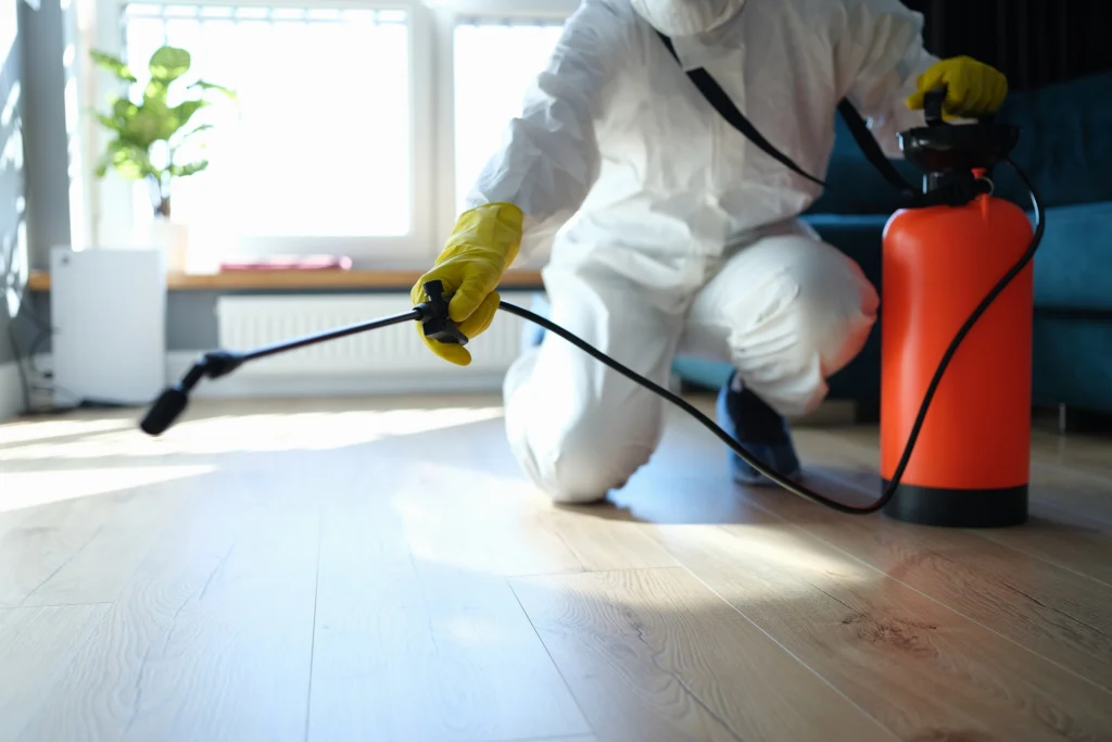Spraying for pests