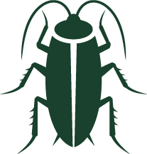 cockroach