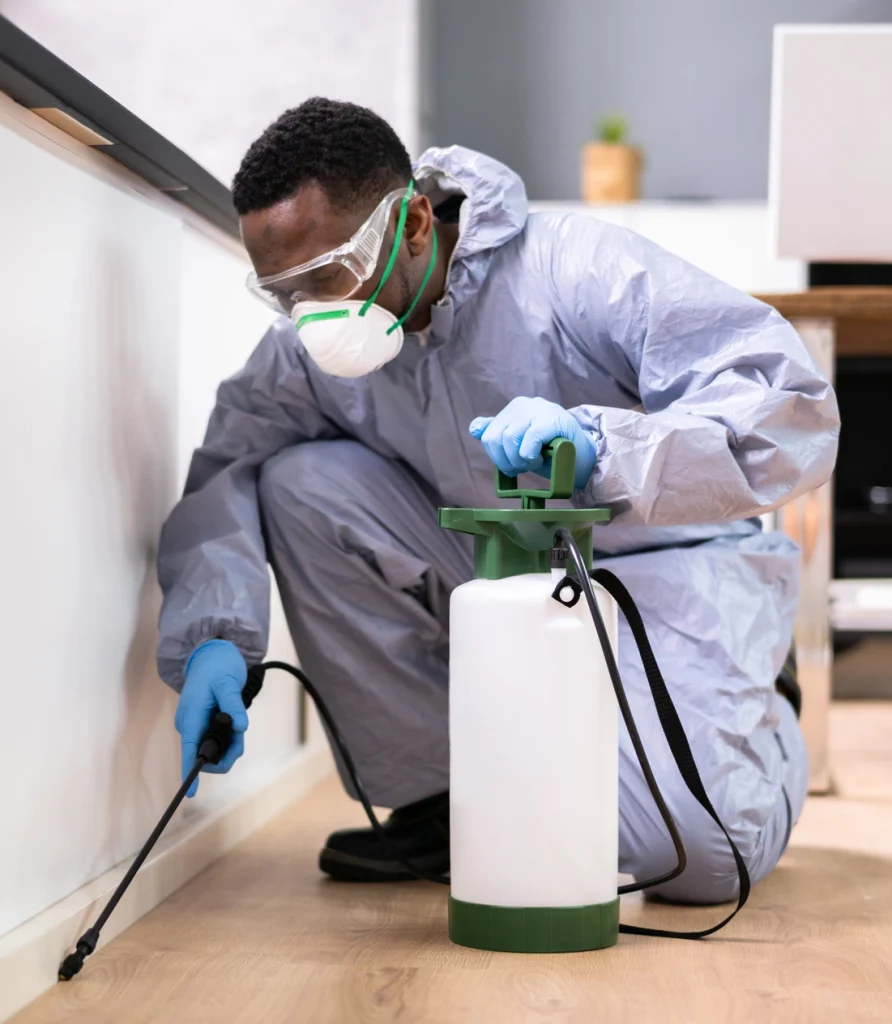 Spraying for pests